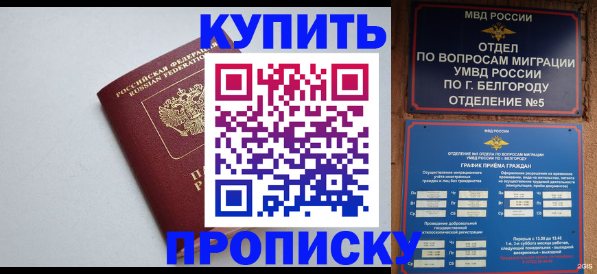 прописка регистрация в Кулебаки
